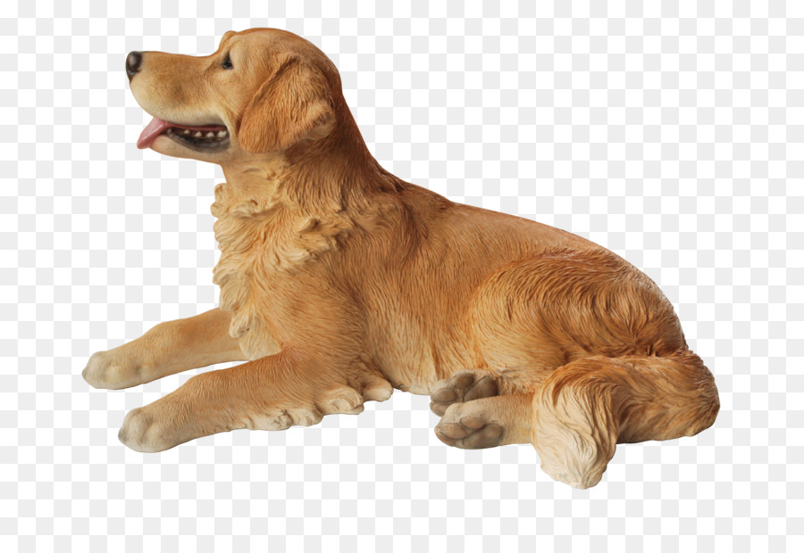 Köpek，Beyaz PNG