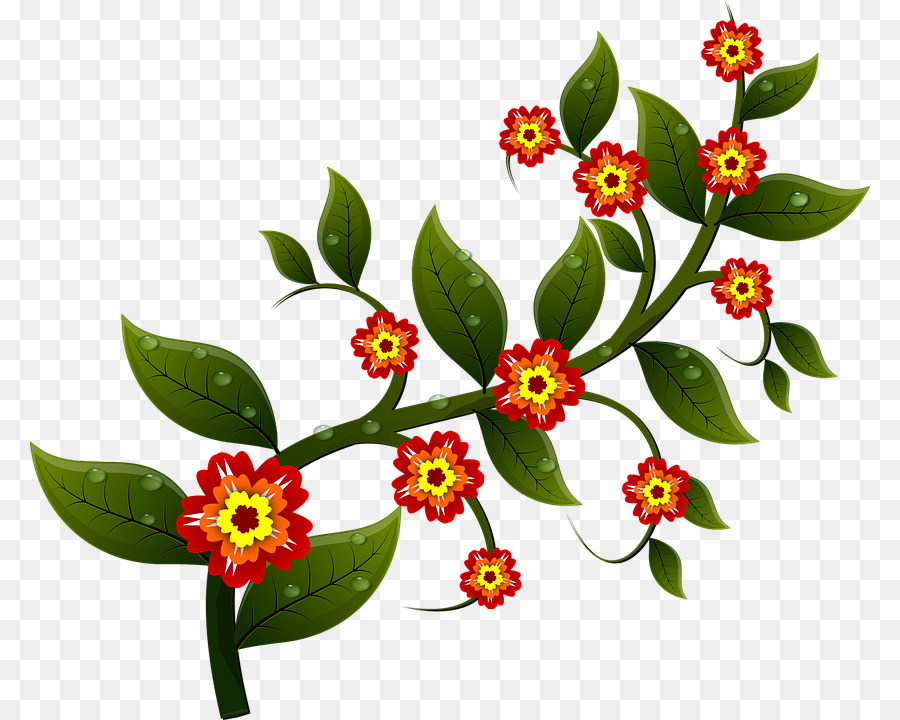 çiçek，Şube PNG