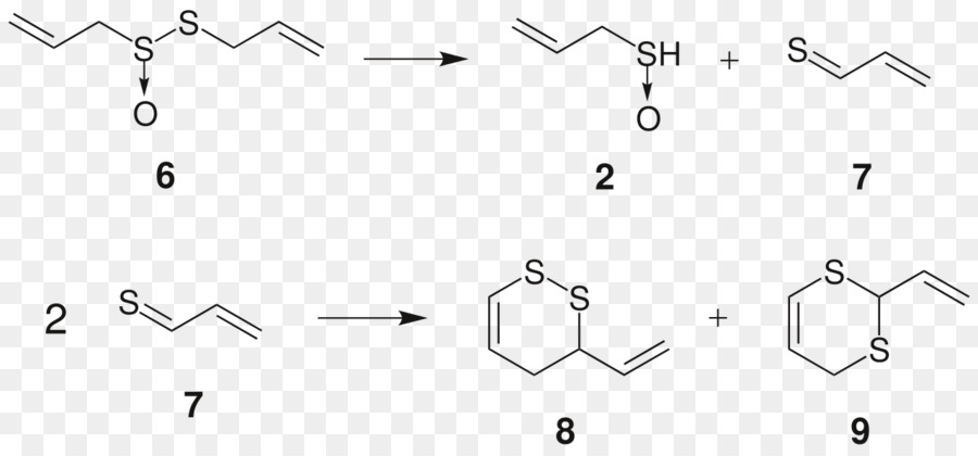 Alisinin，Thiosulfinate PNG