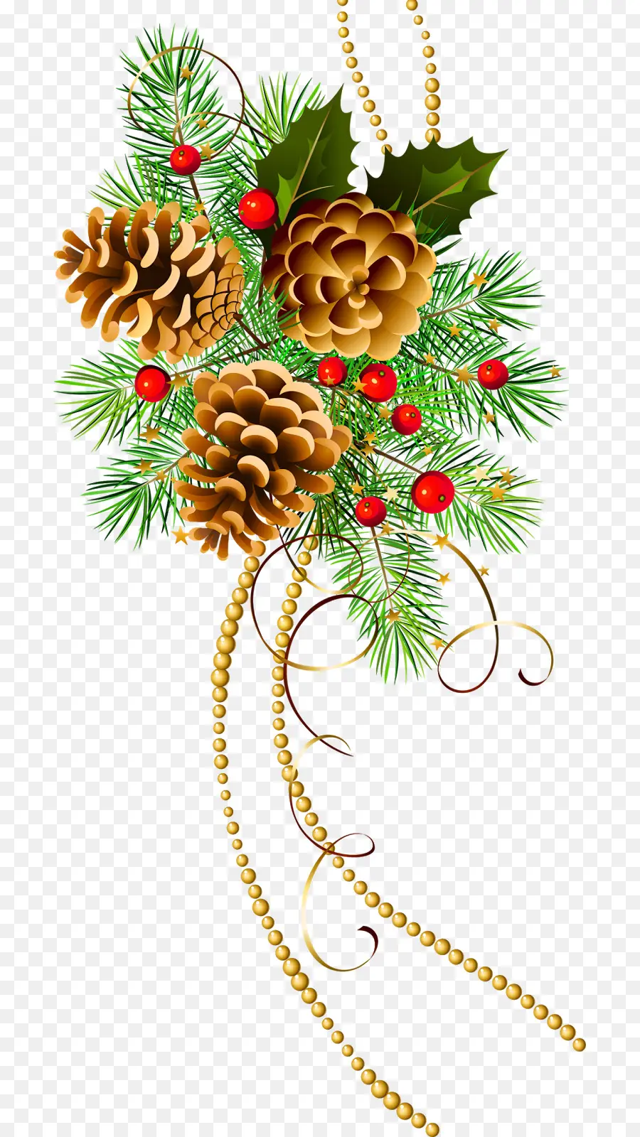 Çam Kozalakları Ve Holly，Noel PNG