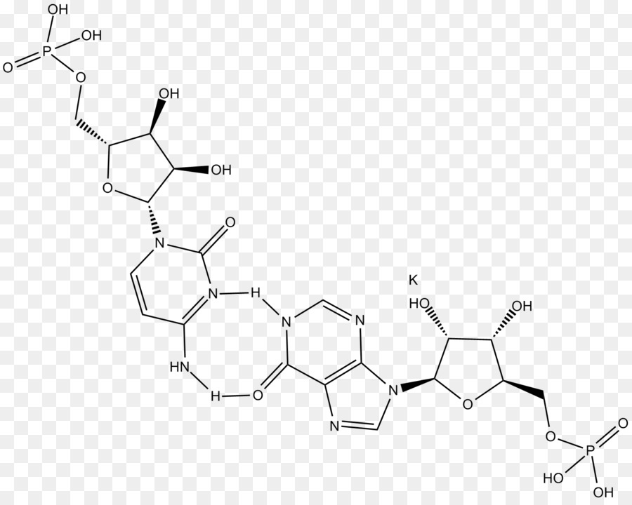 Polyinosinicpolycytidylic Asit，Tolllike Reseptör PNG