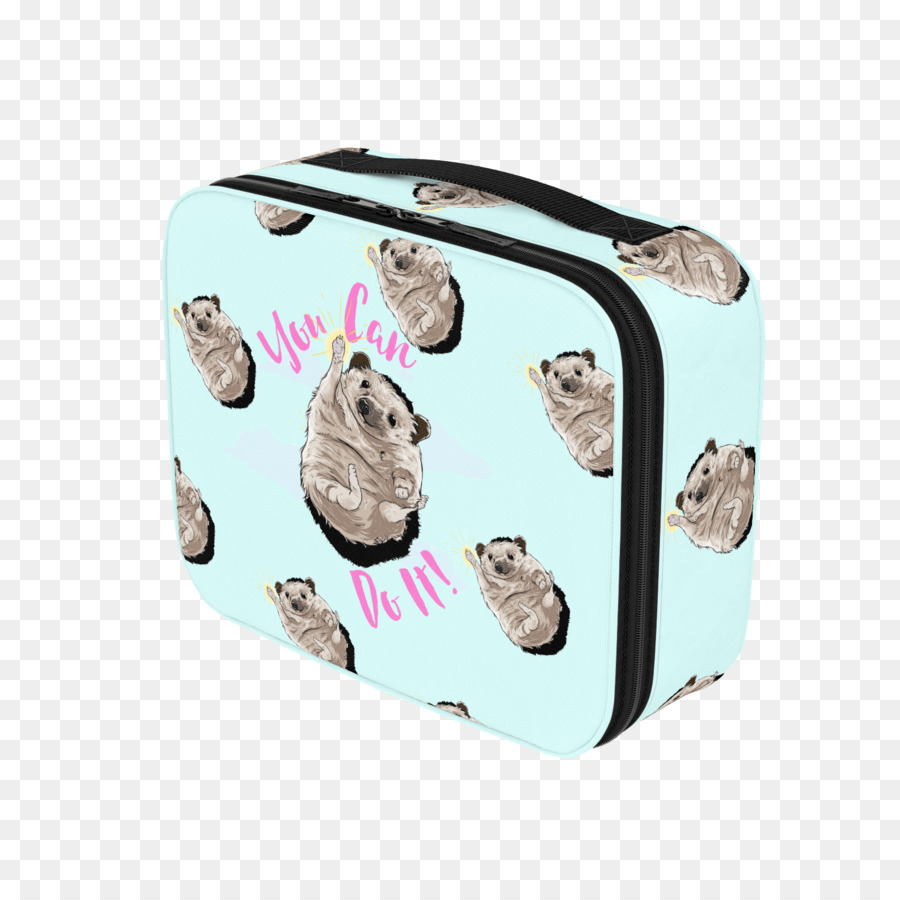 Sırt çantası，Lunchbox PNG