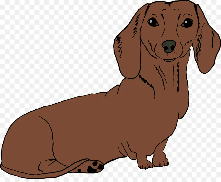 Kahverengi Dachshund，Evcil Hayvan PNG