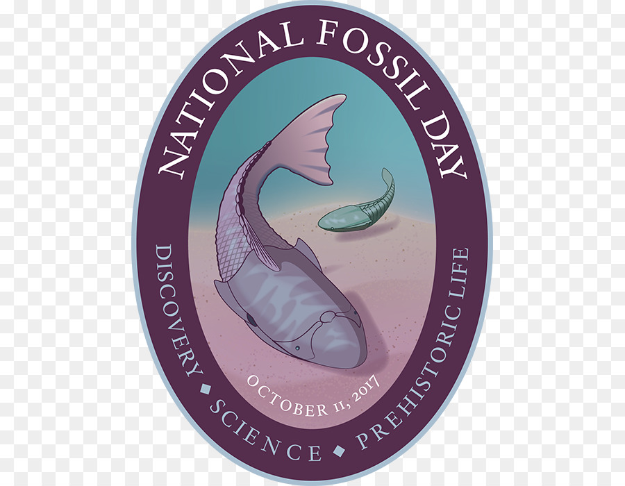 Ulusal Fosil Gün，Fosil PNG