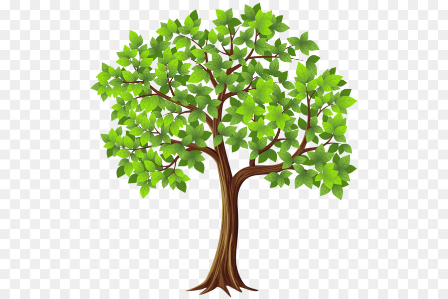 Ağaç，Indir PNG