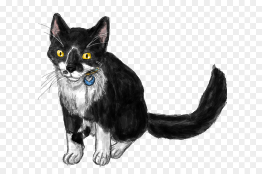 Kara Kedi，Evcil Hayvan PNG