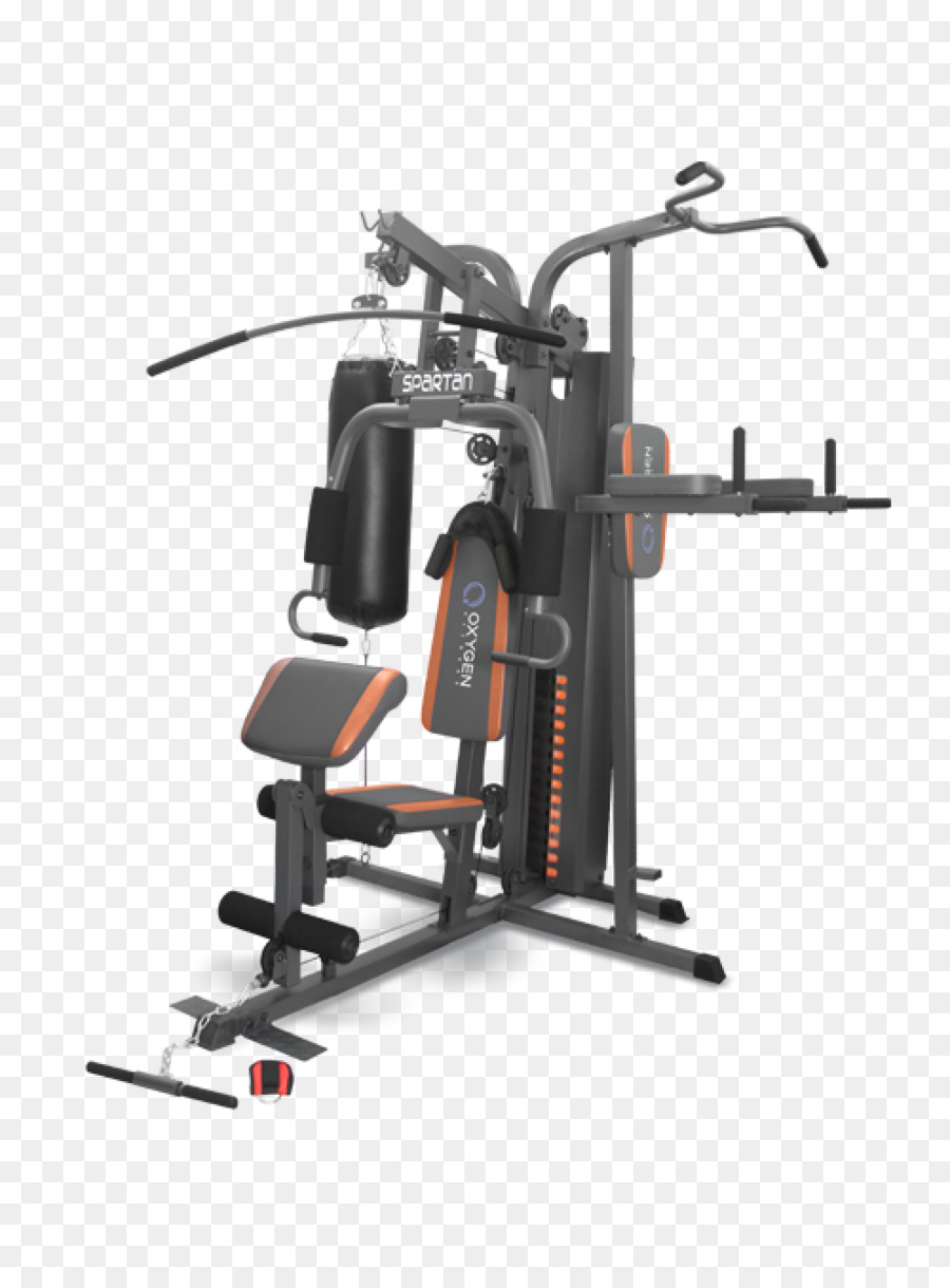Egzersiz Makinesi，Vücut Geliştirme PNG