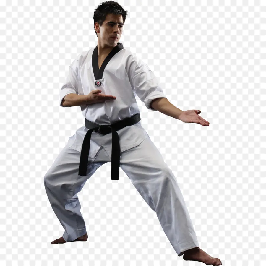 Dövüş Sanatçısı，Karate PNG