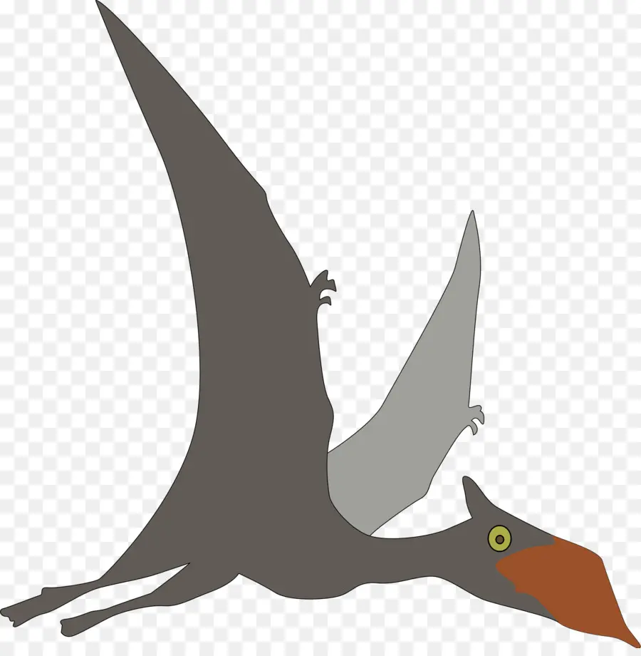 Pterodaktil，Uçan PNG