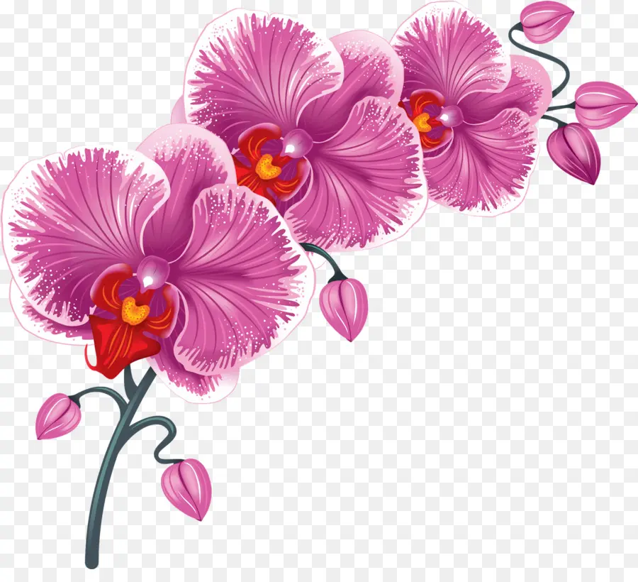 Masaüstü Duvar Kağıdı，çiçek PNG