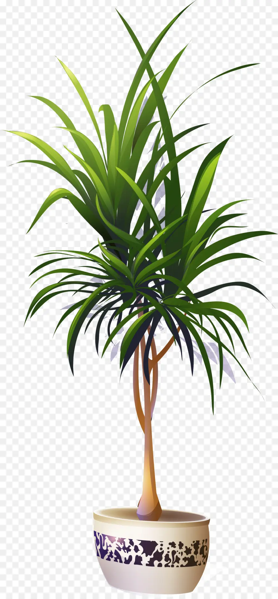 Arecaceae，Bitkinin PNG