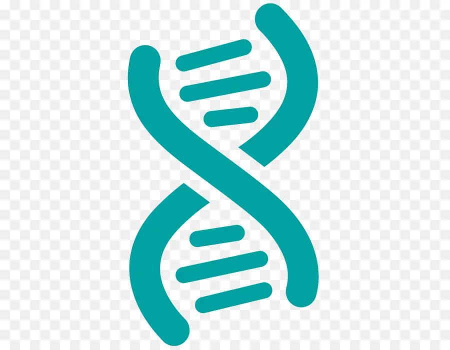 Dna，Sarmal PNG