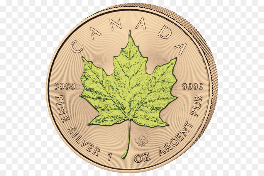 Kanada，Kanada Altın Maple Leaf PNG