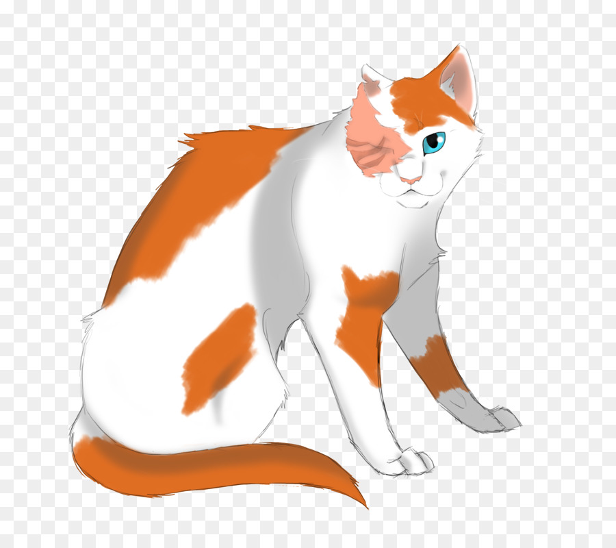 Kedi，Evcil Hayvan PNG