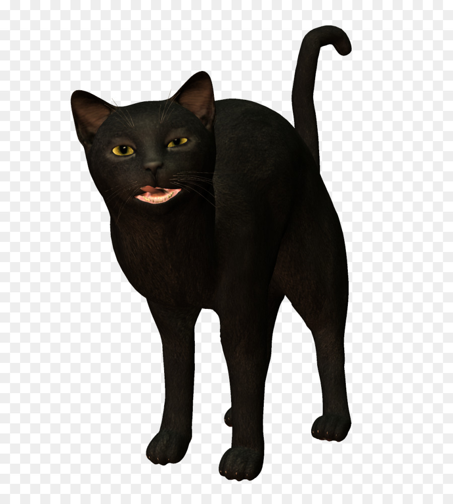 Kara Kedi，Esneme PNG