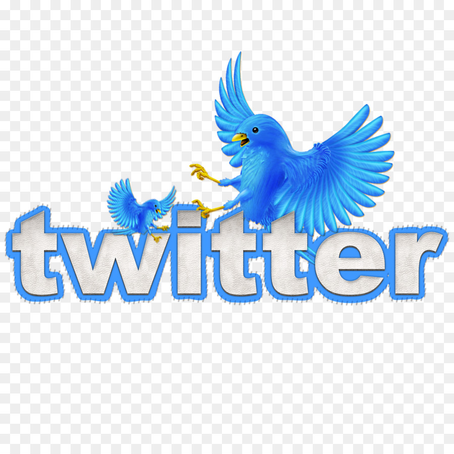 Twitter Logosu，Sosyal Medya PNG