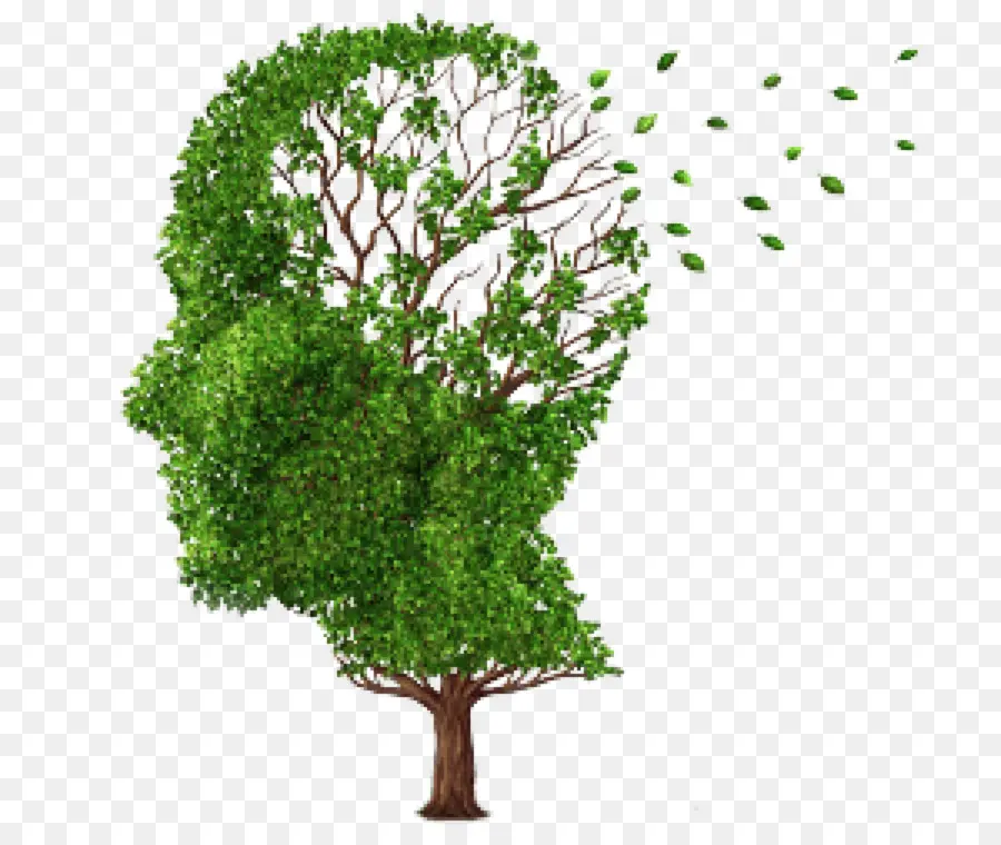 Alzheimer Hastalığı，Hastalık PNG