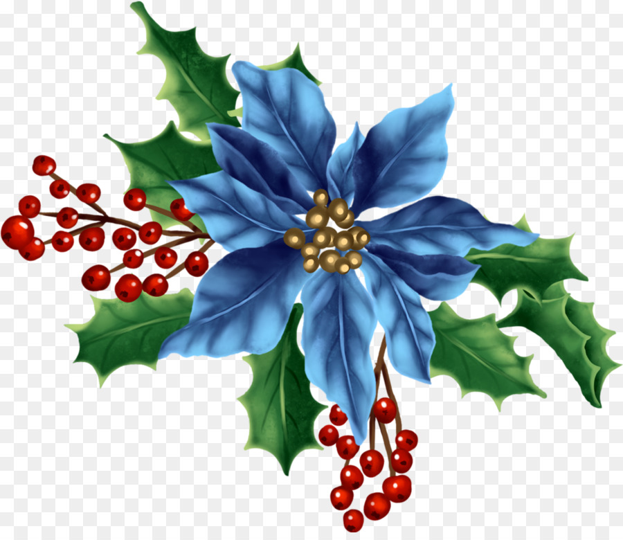 Holly，Aquifoliales PNG