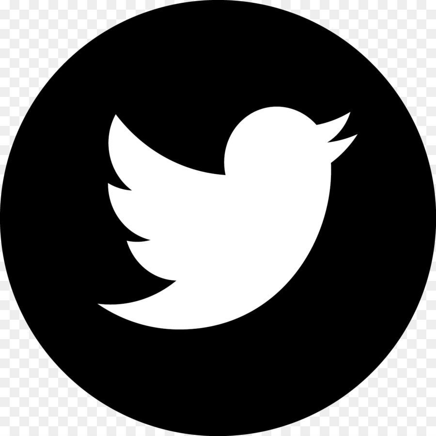 Twitter Logosu，Kuş PNG