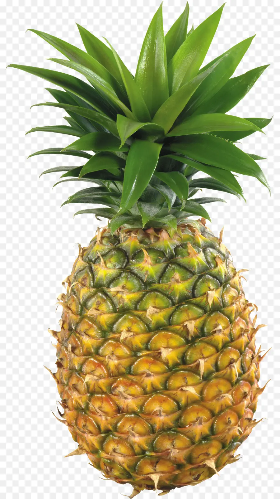 Ananas，Tropikal PNG