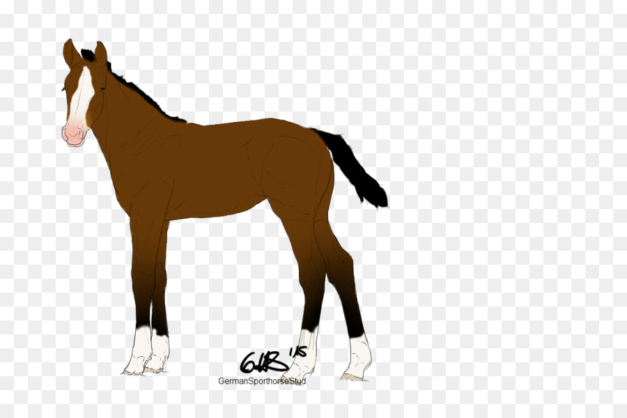 Mustang，Tay PNG