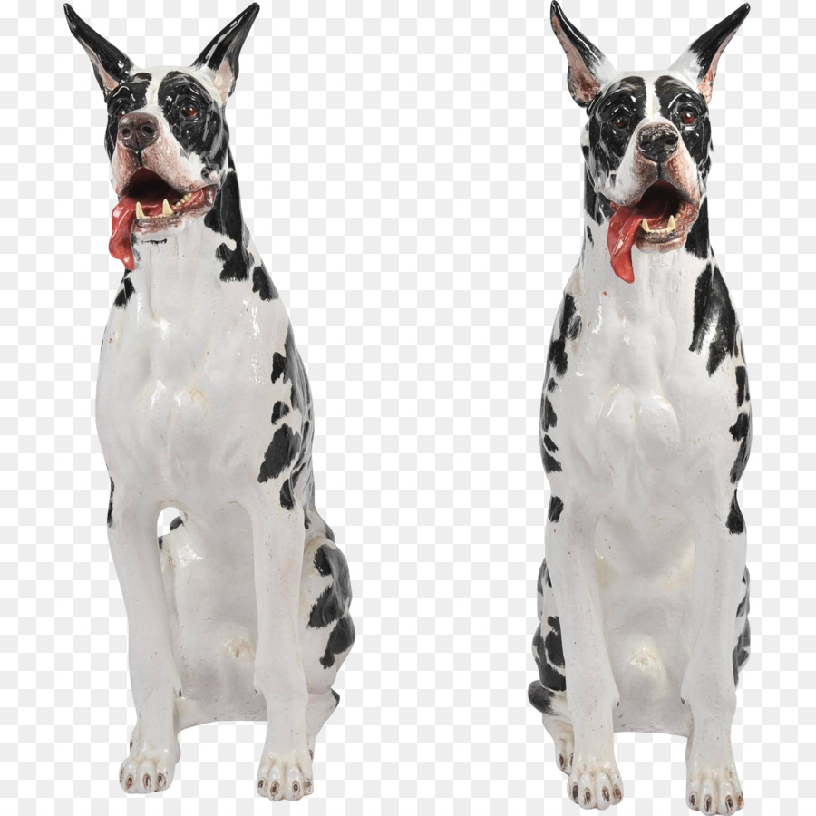 Danua，Boston Terrier PNG