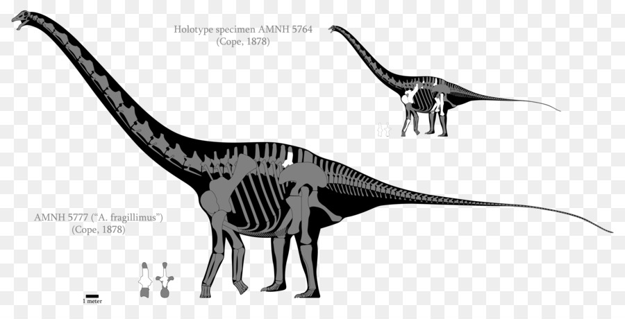 Dinozor İskeleti，Tarih öncesi PNG