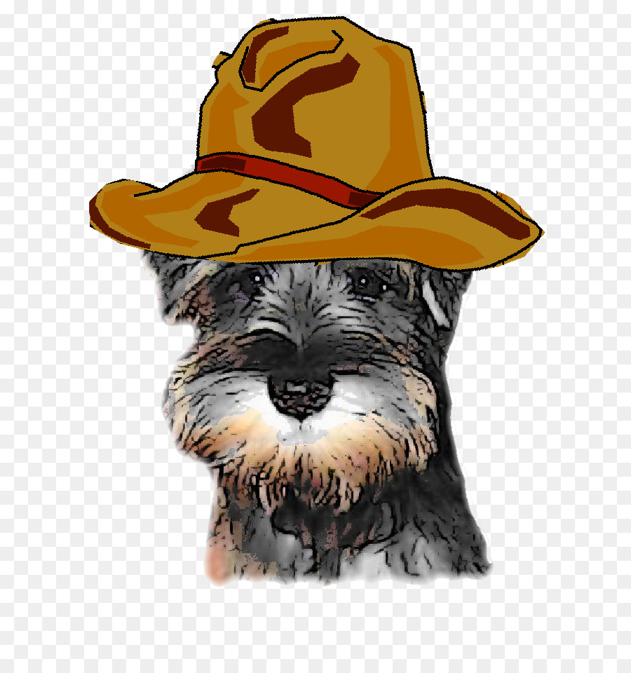 Minyatür Schnauzer，Dev Schnauzer PNG