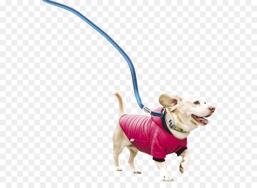 Köpek ırkı，Köpek PNG