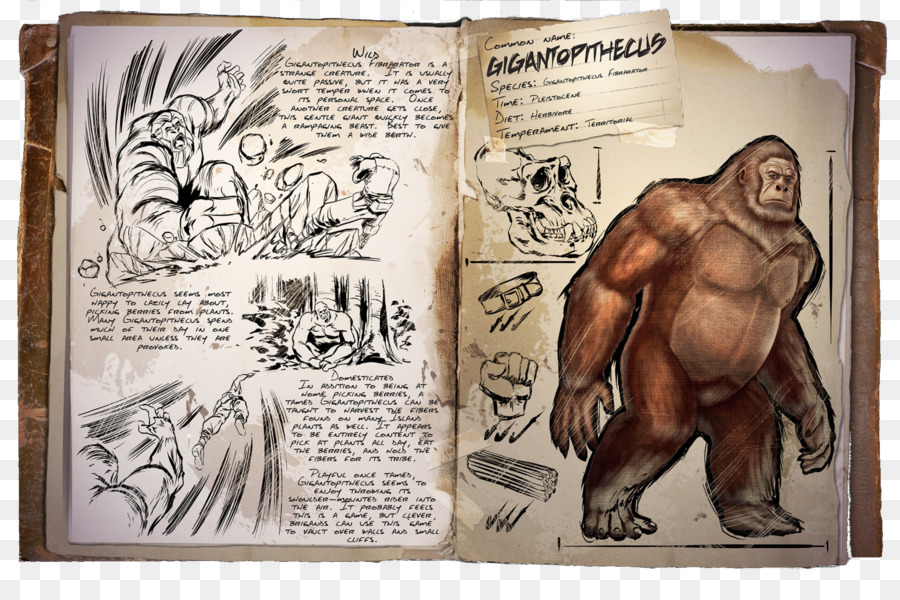 Gigantopithecus，Maymun PNG