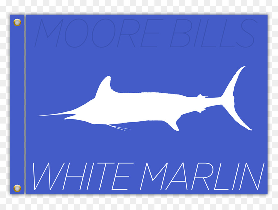 Beyaz Marlin Açın，Köpekbalığı PNG