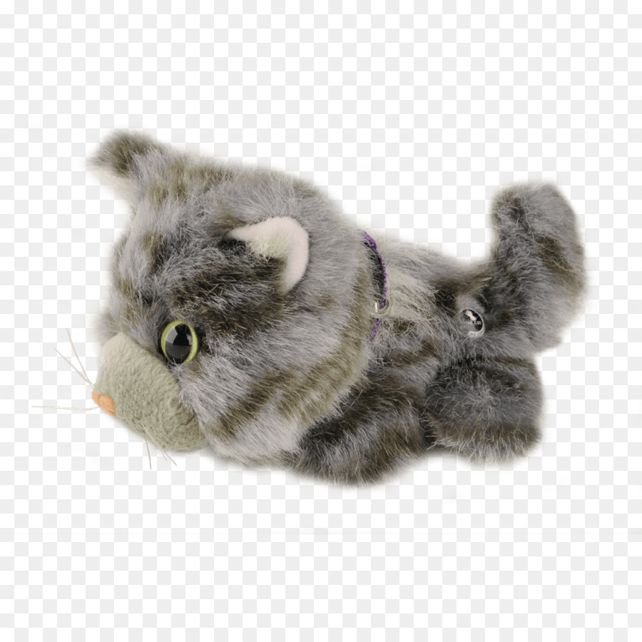 Bıyıkları，Kedi PNG