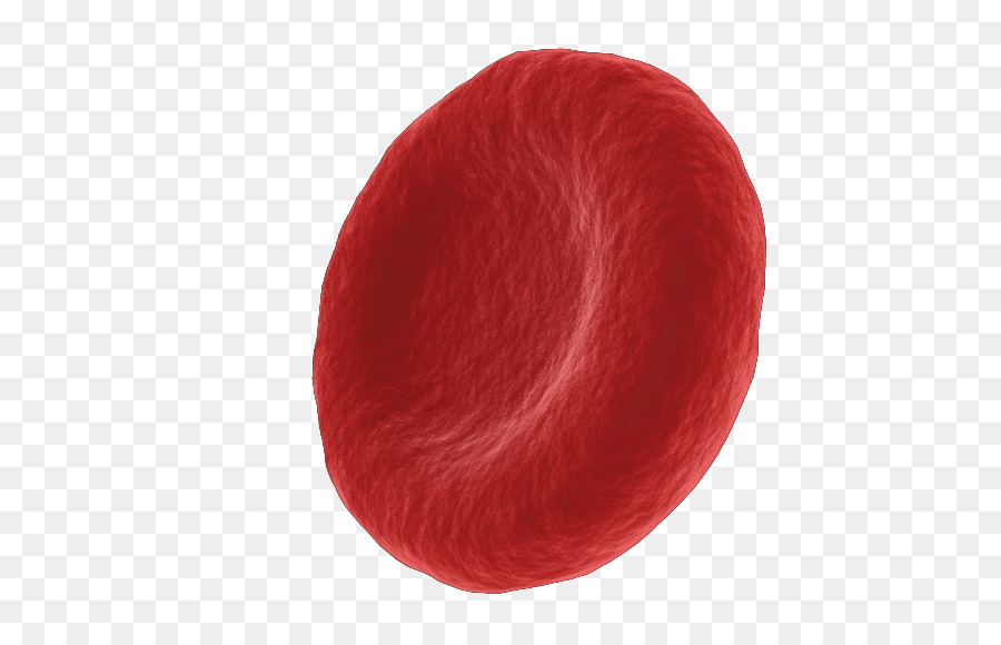 Kırmızı Hücre，Yün PNG
