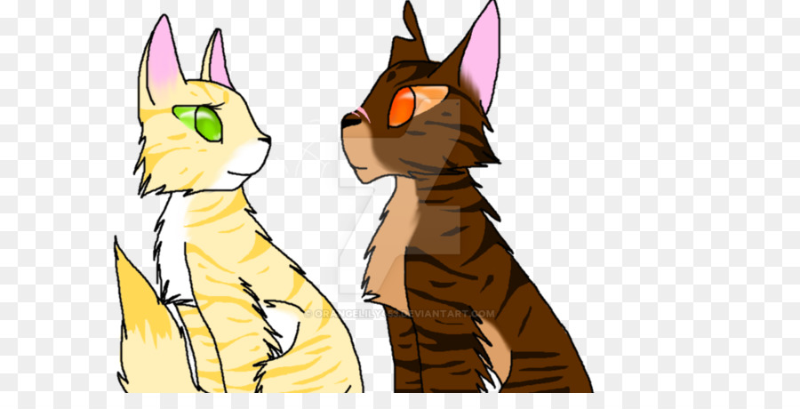 Kedi，Tigerstar PNG