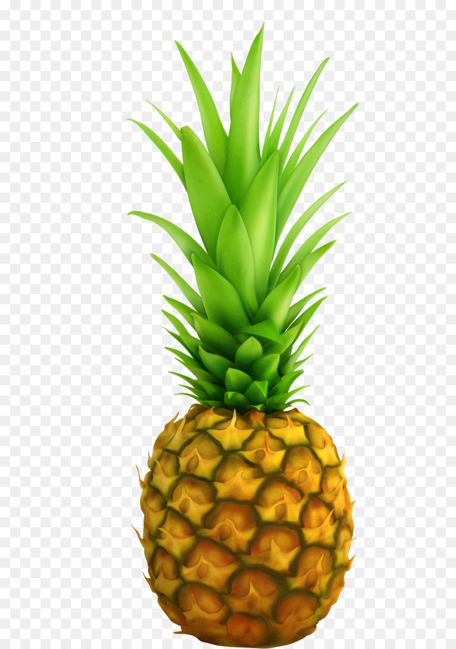 Mavi Ananas，Meyve PNG