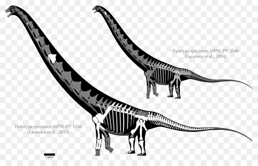 Dinozor İskeleti，Tarih öncesi PNG