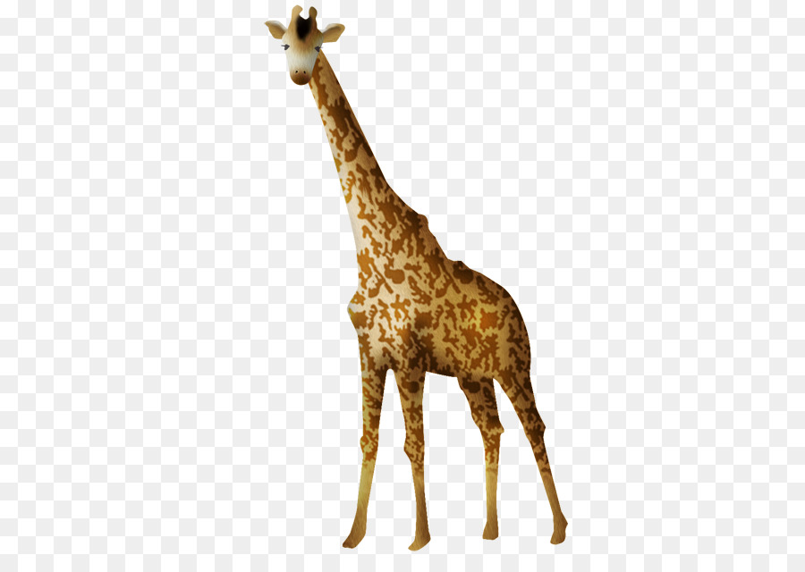 Kuzey Zürafa，Animasyon PNG