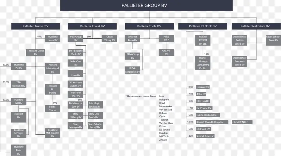 Organizasyon şeması，Pallieter Grup Bv PNG