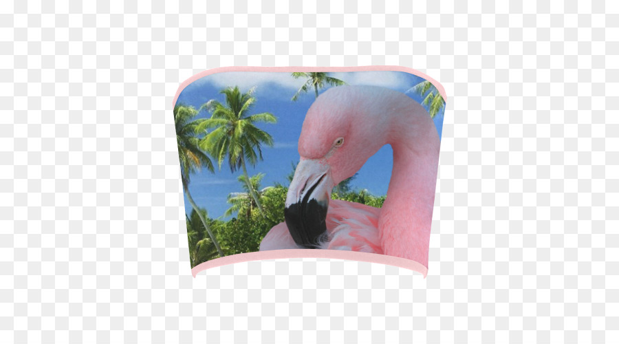 Flamingolar，Fauna PNG