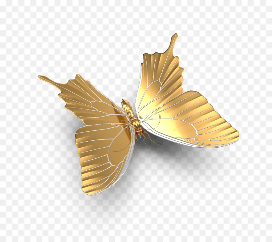Kelebek，Altın PNG