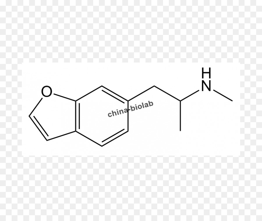 Albuterol，Metabolizma PNG