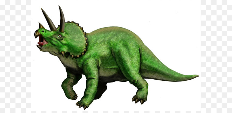 Triceratops，Velociraptor PNG