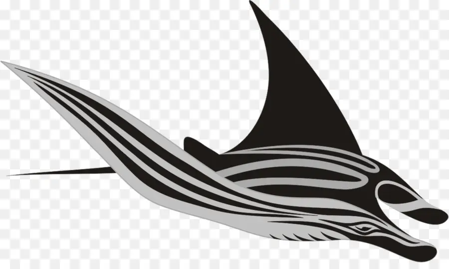 Manta Ray，Okyanus PNG