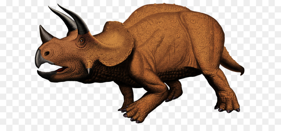 Triceratops，Tarih öncesi PNG