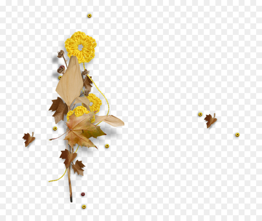 Sonbahar，Yaprak PNG