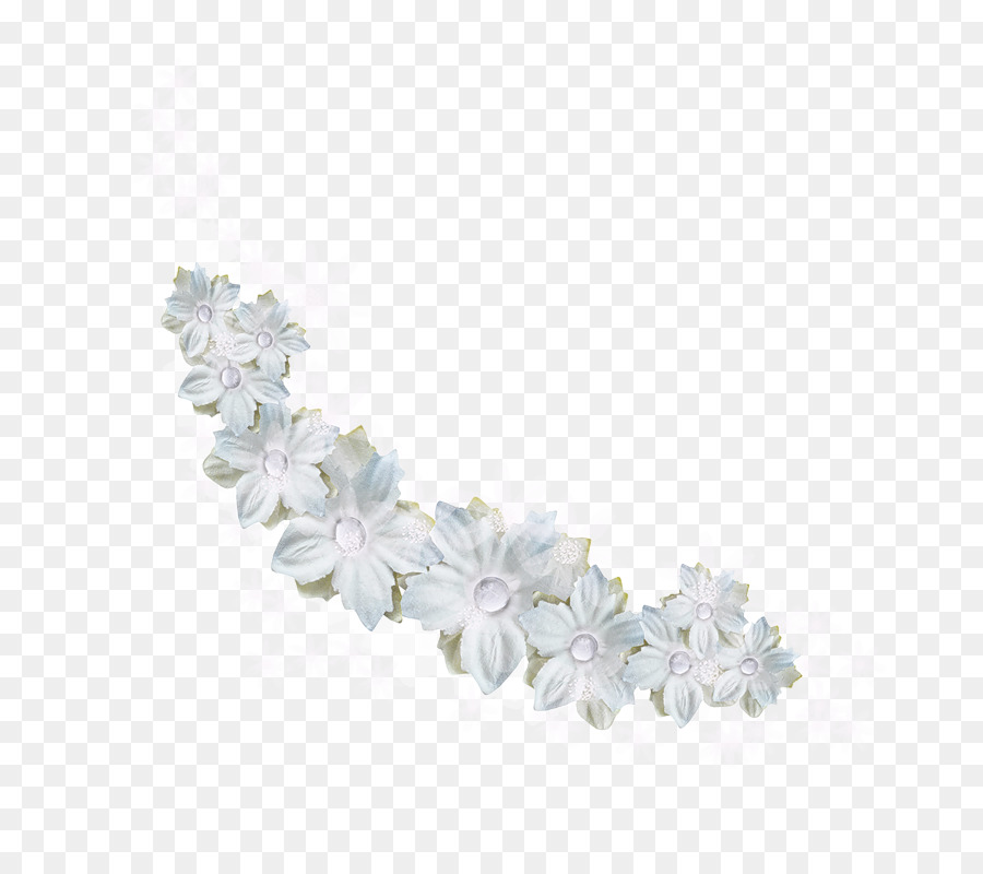 Beyaz，çiçek PNG