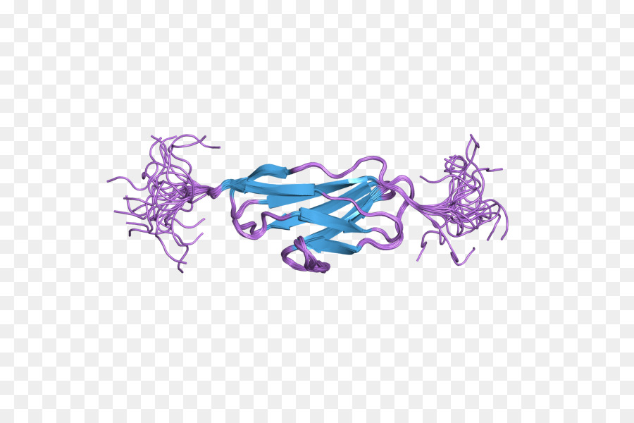 Obscurin，Protein PNG