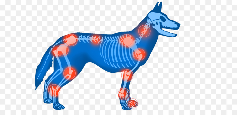 Köpek ırkı，Köpek PNG