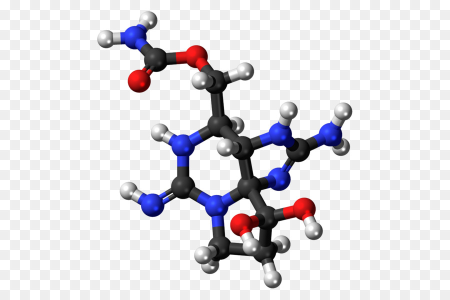 Saxitoxin，Toksin PNG