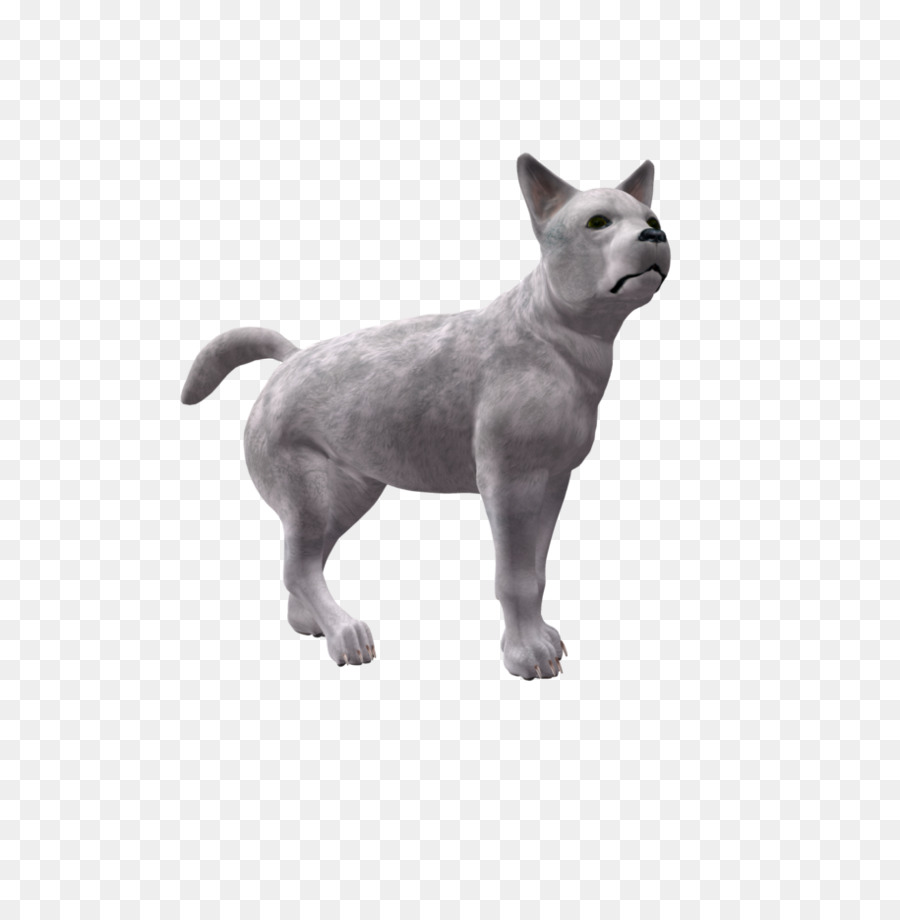 Köpek ırkı，Köpek Yavrusu PNG